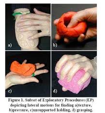 Resultado de imagen de astereognosia